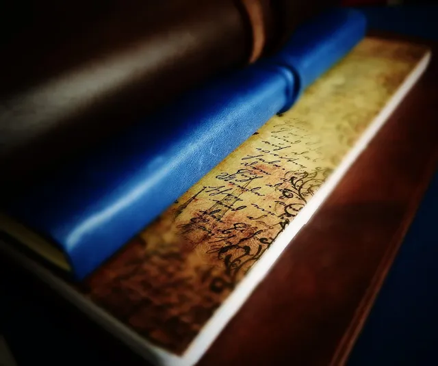 Le “Bullet Journal Capillaire” Édition 1