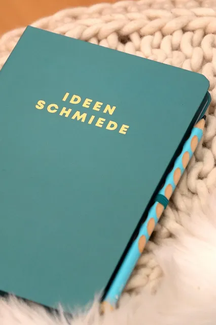 Le “Bullet Journal Capillaire” Édition 1