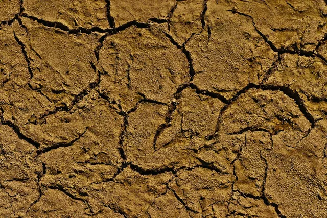 Argile Bentonite ♻️détox capillaire🗝