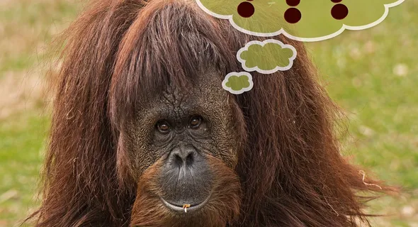 9 questions que vous vous êtes toujours posées sur vos cheveux